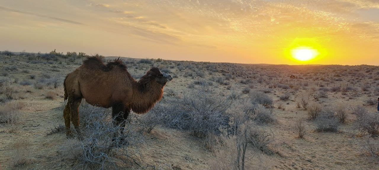 69600b07da84bfbabd352631 - 5