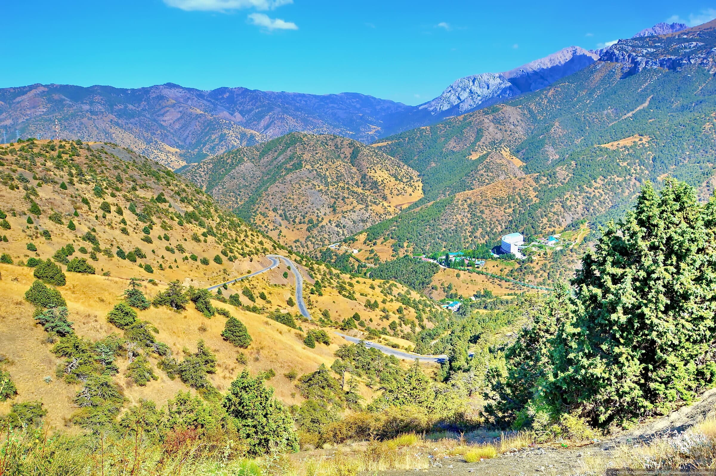 运动与极限之旅