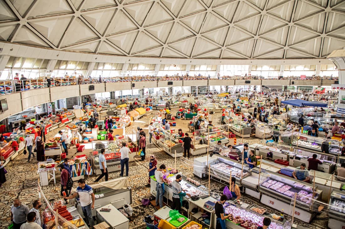 FROM MULBERRY LEAF TO SILK